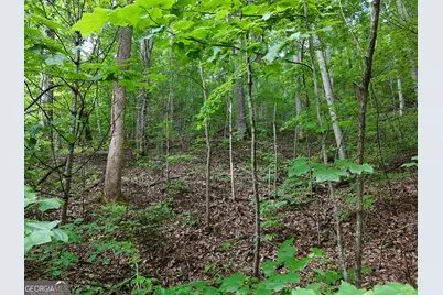 Lot 31 Highland Forge Lane, Blairsville, GA 30512 - Photo 6