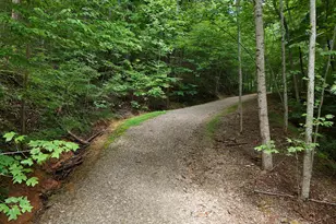 Lot 31 Highland Forge Ln, Blairsville, GA 30512 - Photo 1