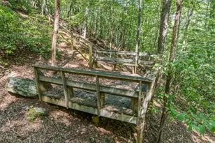 166 Walnut Mountain Ct, Ellijay, GA 30536 - Photo 38