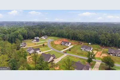 119 Mylee Cove, Barnesville, GA 30204 - Photo 48