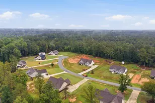 119 Mylee Cove, Barnesville, GA 30204 - Photo 48