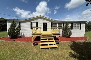 10 Humpback St, Midville, GA 30441 - Photo 4