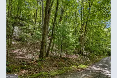 0 Paradise Lane, Blue Ridge, GA 30513 - Photo 2