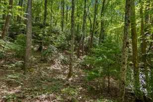 0 Paradise Lane, Blue Ridge, GA 30513 - Photo 1