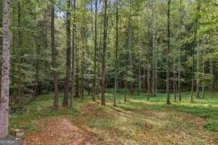 532 Dixie Red Ave, Jefferson, GA 30549 - Photo 32