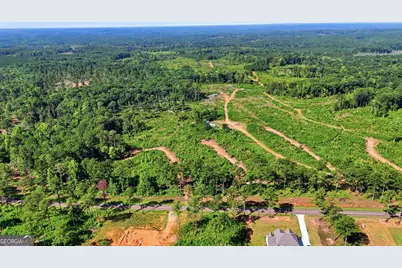 150+/- Acres Giles Road, Forsyth, GA 31029 - Photo 4