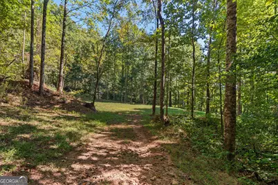 0 Old Highway 441 North, Clayton, GA 30525 - Photo 8
