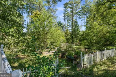 2221 Sandtown Road, Washington, GA 30673 - Photo 46