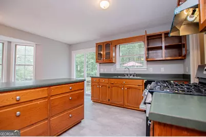 1045 Grice Road, Roopville, GA 30170 - Photo 22