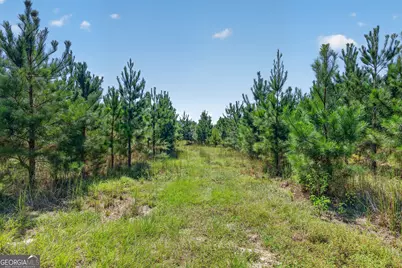 3999 Oscar Tippins Road, Baxley, GA 31513 - Photo 20