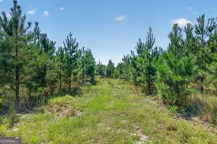 3999 Oscar Tippins Rd, Baxley, GA 31513 - Photo 20