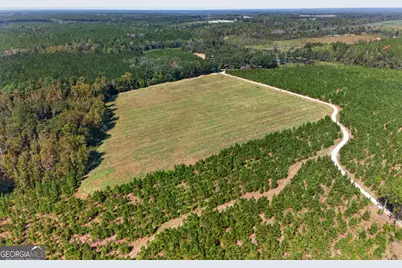 3999 Oscar Tippins Road, Baxley, GA 31513 - Photo 4