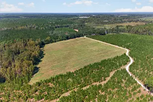 3999 Oscar Tippins Rd, Baxley, GA 31513 - Photo 4
