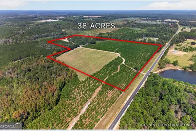 3999 Oscar Tippins Road, Baxley, GA 31513 - Photo 2