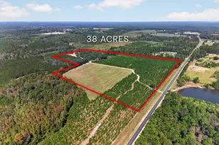 3999 Oscar Tippins Rd, Baxley, GA 31513 - Photo 2