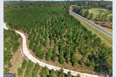 3999 Oscar Tippins Road, Baxley, GA 31513 - Photo 6