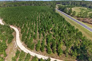 3999 Oscar Tippins Rd, Baxley, GA 31513 - Photo 6