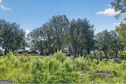 3999 Oscar Tippins Road, Baxley, GA 31513 - Photo 38