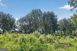 3999 Oscar Tippins Rd, Baxley, GA 31513 - Photo 38
