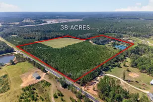 3999 Oscar Tippins Rd, Baxley, GA 31513 - Photo 1