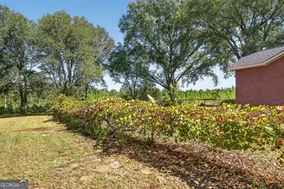 3999 Oscar Tippins Road, Baxley, GA 31513 - Photo 34
