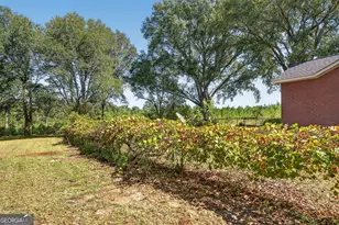 3999 Oscar Tippins Rd, Baxley, GA 31513 - Photo 34