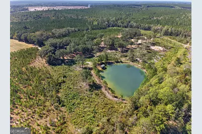 3999 Oscar Tippins Road, Baxley, GA 31513 - Photo 10