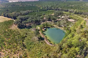 3999 Oscar Tippins Rd, Baxley, GA 31513 - Photo 10