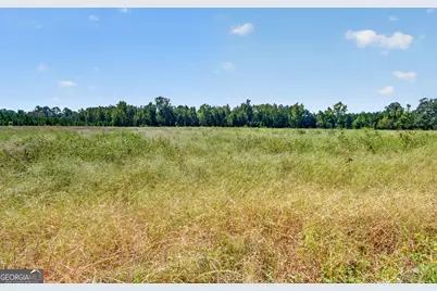 3999 Oscar Tippins Road, Baxley, GA 31513 - Photo 24