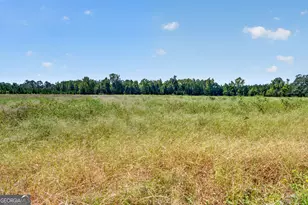 3999 Oscar Tippins Rd, Baxley, GA 31513 - Photo 24
