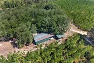 3999 Oscar Tippins Rd, Baxley, GA 31513 - Photo 16