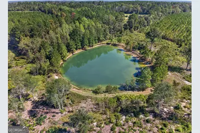 3999 Oscar Tippins Road, Baxley, GA 31513 - Photo 12