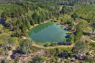 3999 Oscar Tippins Rd, Baxley, GA 31513 - Photo 12