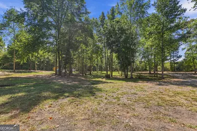 3785 Allie Road, Greenville, GA 30222 - Photo 56