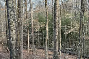 1030 Cherokee Cir, Athens, GA 30606 - Photo 6