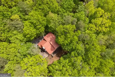 305 Martin Crossing, Cherry Log, GA 30522 - Photo 36