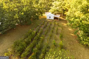 1650 Pierce Dairy Rd, Madison, GA 30650 - Photo 124