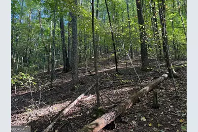 0 Mountain View Court #J349-350, Ellijay, GA 30536 - Photo 6