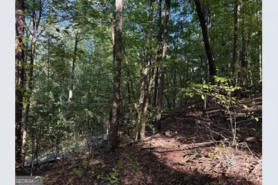 0 Mountain View Court #J349-350, Ellijay, GA 30536 - Photo 4