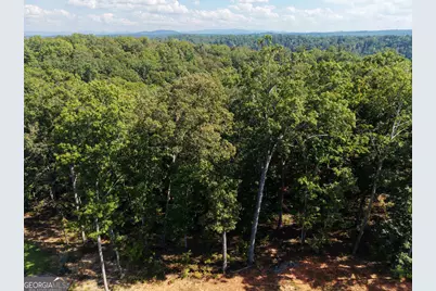 21 Lake Top Lane, Ellijay, GA 30540 - Photo 12