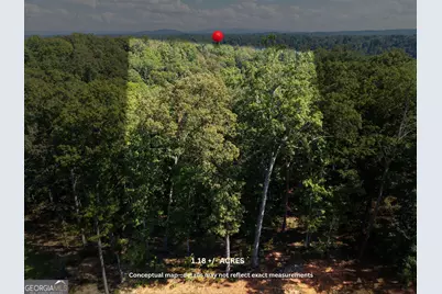 21 Lake Top Lane, Ellijay, GA 30540 - Photo 2