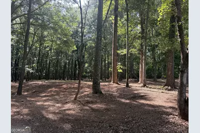 1310 Ivywood Drive, Athens, GA 30606 - Photo 56