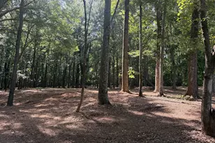 1310 Ivywood Dr, Athens, GA 30606 - Photo 56