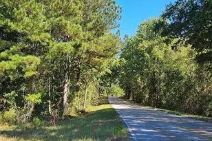 Tract 3 Bethany Church Rd, Lincolnton, GA 30817 - Photo 1