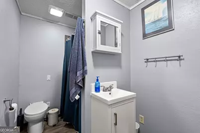 165 Hal Jones Road, Newnan, GA 30263 - Photo 64