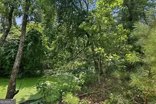 225 Frank Edwards Rd, Ellabell, GA 31308 - Photo 50