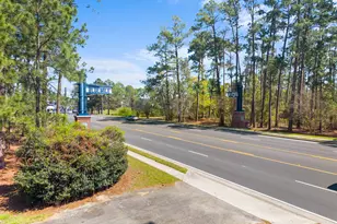 111 Greenbriar Trail, Statesboro, GA 30458 - Photo 46
