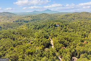 107 Hawks Nest, Sautee Nacoochee, GA 30571 - Photo 84