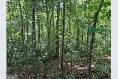 214 W Grantville Rd, Grantville, GA 30220 - Photo 32