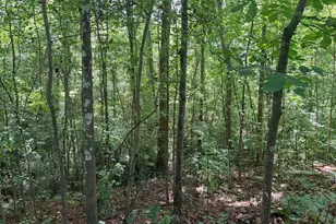214 W Grantville Rd, Grantville, GA 30220 - Photo 32